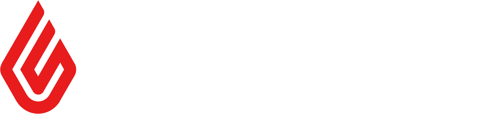 Lightspeed partner